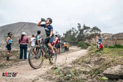 XC-CARDAL-100