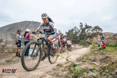 XC-CARDAL-101
