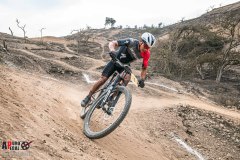 XC-CARDAL-103