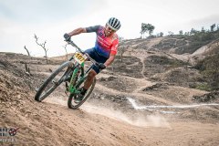 XC-CARDAL-104