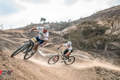 XC-CARDAL-105