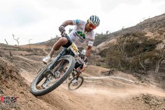 XC-CARDAL-106