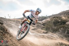 XC-CARDAL-107