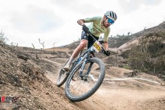 XC-CARDAL-108
