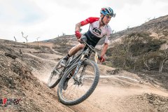 XC-CARDAL-109