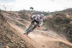 XC-CARDAL-111