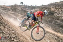 XC-CARDAL-112
