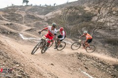 XC-CARDAL-114