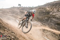 XC-CARDAL-115