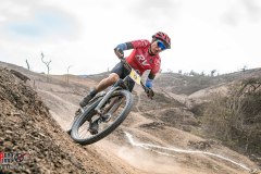 XC-CARDAL-117