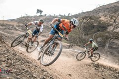 XC-CARDAL-118