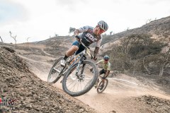 XC-CARDAL-119