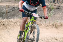 XC-CARDAL-12