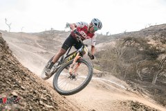 XC-CARDAL-120