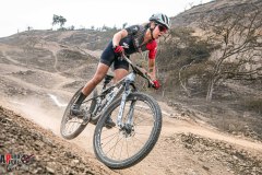 XC-CARDAL-121