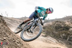 XC-CARDAL-122