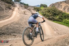 XC-CARDAL-127