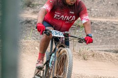 XC-CARDAL-13