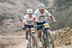XC-CARDAL-131
