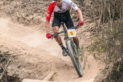 XC-CARDAL-133