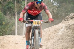 XC-CARDAL-134