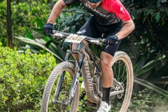 XC-CARDAL-136