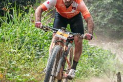 XC-CARDAL-137