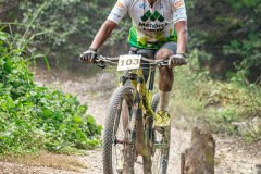 XC-CARDAL-138
