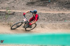 XC-CARDAL-14