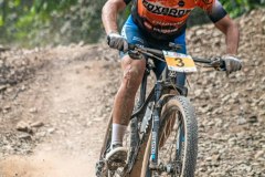 XC-CARDAL-140
