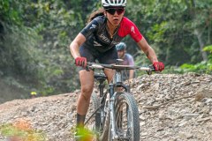 XC-CARDAL-141
