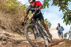 XC-CARDAL-144