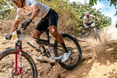 XC-CARDAL-146