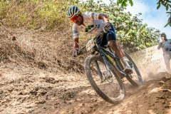 XC-CARDAL-147