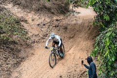 XC-CARDAL-153