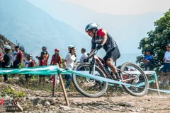 XC-CARDAL-156