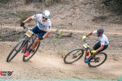 XC-CARDAL-16
