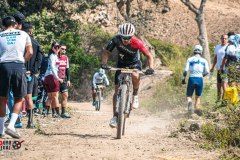 XC-CARDAL-163