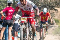 XC-CARDAL-164