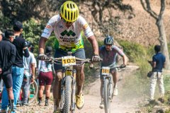 XC-CARDAL-166