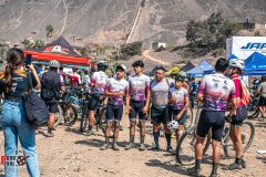 XC-CARDAL-168