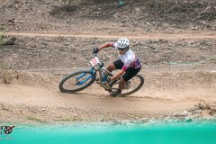 XC-CARDAL-17