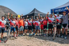 XC-CARDAL-173