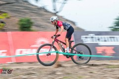 XC-CARDAL-19