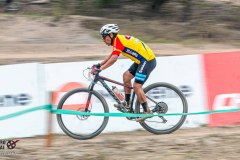 XC-CARDAL-21