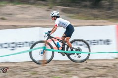 XC-CARDAL-22