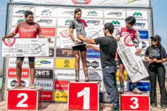 XC-CARDAL-239