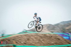 XC-CARDAL-24