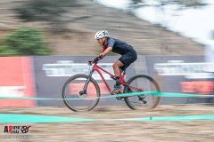 XC-CARDAL-27