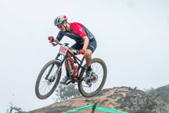 XC-CARDAL-29